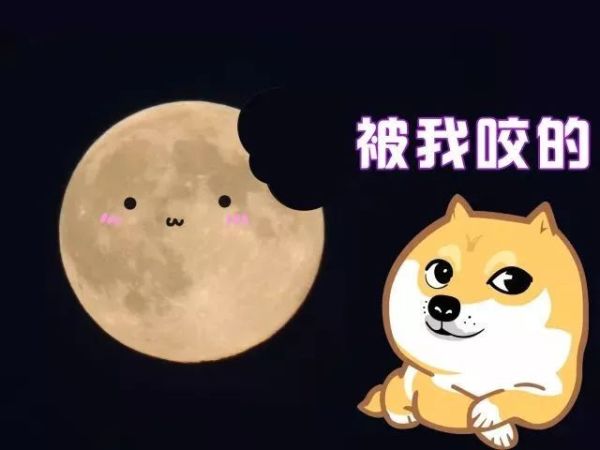 防護(hù)眼鏡廠家