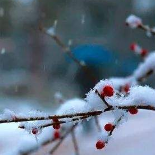 邦士度全體伙伴祝大家大雪快樂