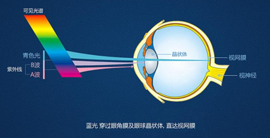 藍光傷害眼睛