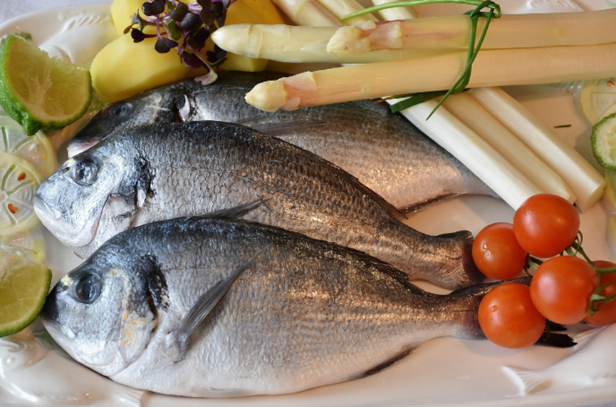 魚